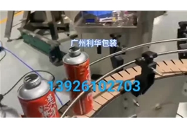 大米灌裝鎖蓋生產(chǎn)線