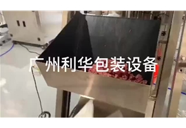 牛肉，雞肉，羊肉罐頭等肉類罐裝包裝生產(chǎn)線