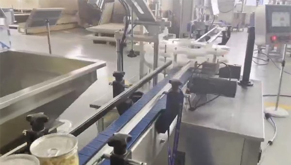 半自動抽真空充氮封罐機(jī)